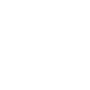 Signet_Schneider_Steuerberatung_white